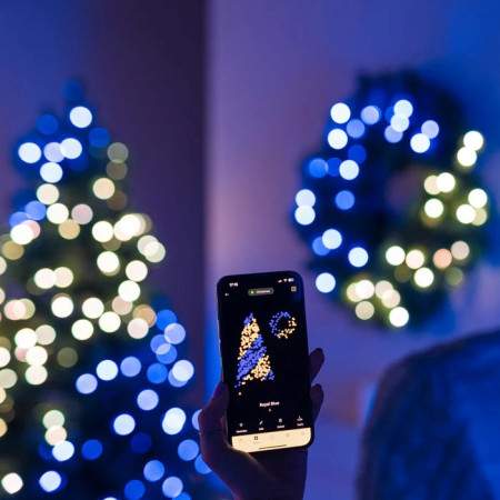 Twinkly iš anksto apšviestas vainikas - 60 cm Regal