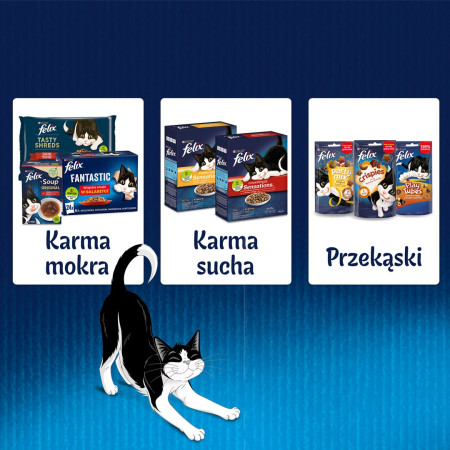 Purina Karma Felix Fantastic su žuvimi 12x85g