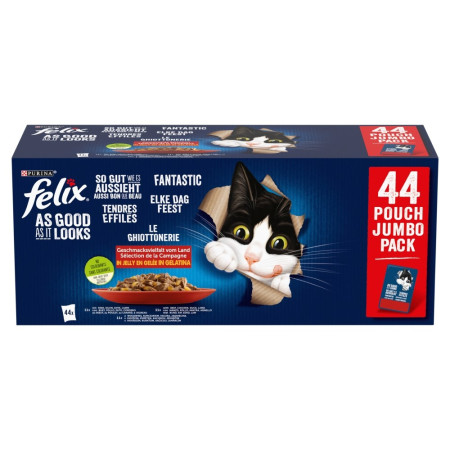 PURINA FELIX AGAIL GiJ MV 44x85g