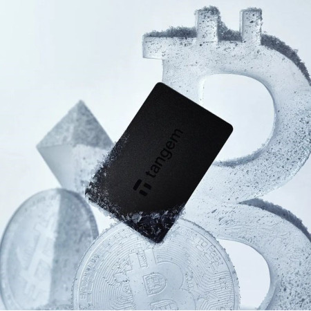 Tangem Kortelių Piniginė 2.0 Juoda - 2 Kortelių Rinkinys