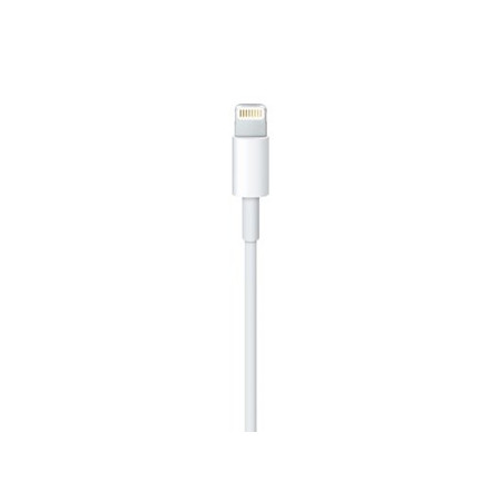 Apple Lightning - USB 0.5m laidas