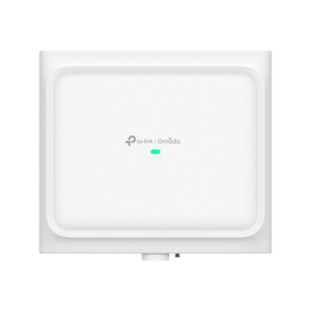 TP-Link Omada EAP650 D30-OUTDOOR belaidis prieigos taškas