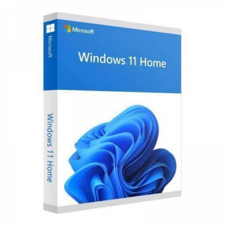 Microsoft Windows 11 Home (Retail, USB)