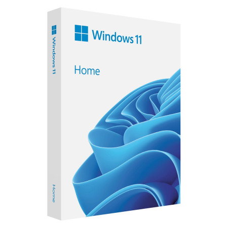 Windows 11 Home USB versija