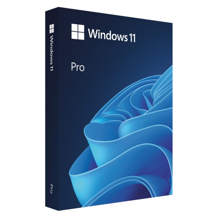 Windows 11 Pro USB versija