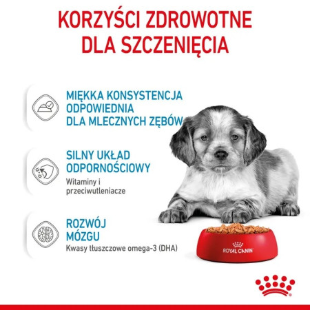 Royal Canin SHN Medium Puppy - šlapia maistas šuniukams - 10x140g