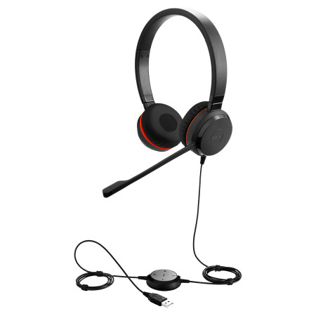 Jabra Evolve 20 Laisvų rankų įranga Juoda