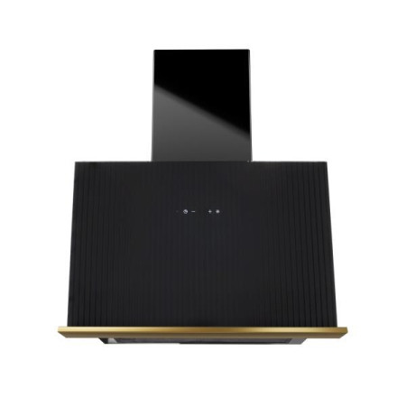 AKPO WK-9 VERON PRO 60 Dažytas gaubtas