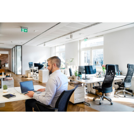 Kensington ekrano privatumo filtras 39,6 cm (15.6")