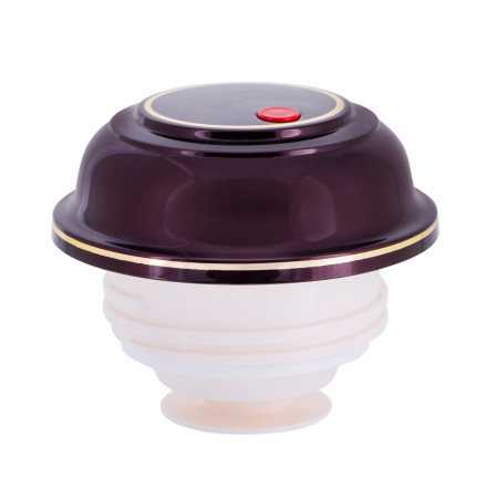 ROTPUNKT 1 L Vyšnių (uogų) termosas