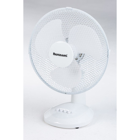 Ravanson WT-1030 buitinis ventiliatorius (pilka, balta)