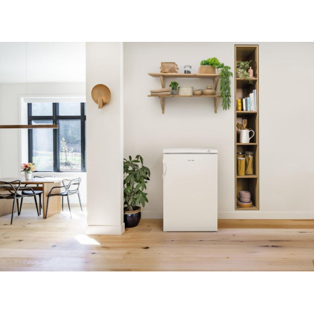 Gorenje F492PW šaldiklis 82 L