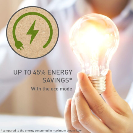 TEFAL Pro Express Eco GV9E22E0 lygintuvas su garų generatoriumi