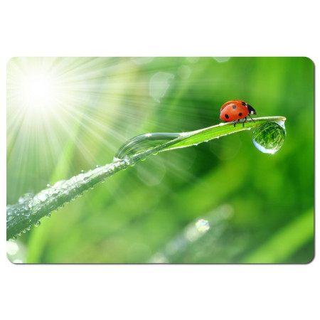 Esperanza EA133 multi spalvų pelės kilimėlis