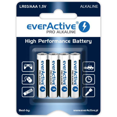 EverActive Pro šarminės baterijos LR6 AA