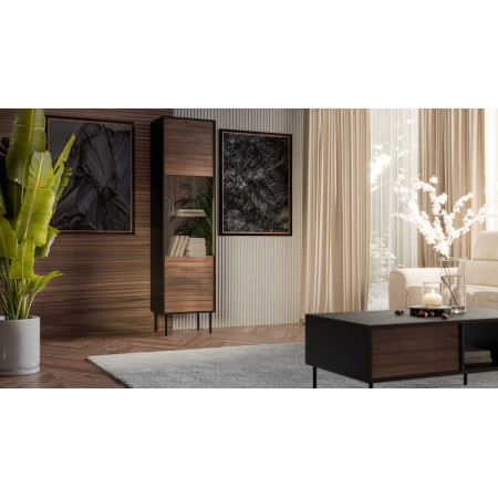 Cama CORTINA 490315 svetainės sekcija Spinta daiktams laikyti