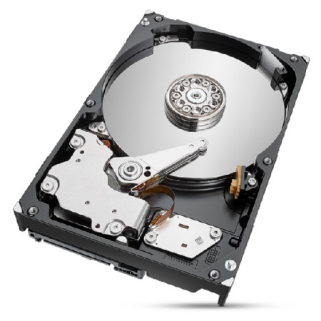 Seagate IronWolf Pro vidinis kietasis diskas 2 TB