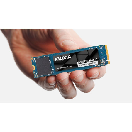 Kioxia LSF10Z001TG8 1TB M.2 PCIe 4.0 NVMe SSD