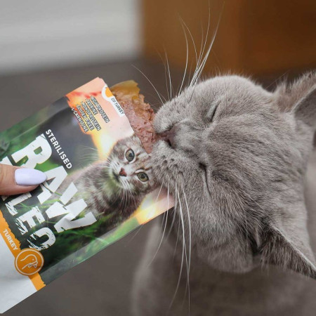 RAW PALEO Suaugusių kačių sterilizuotų kalakutienos - šlapias kačių maistas - 100g