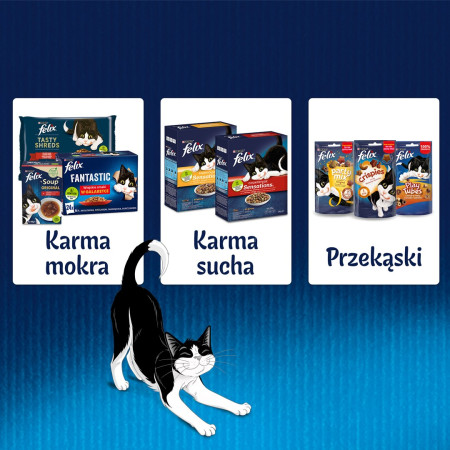 Purina Felix Fantastic Triušis drebučiuose - 85g