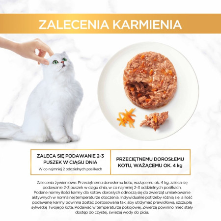Purina Gourmet Gold Savoury cake - šlapias kačių maistas - 48x85 g