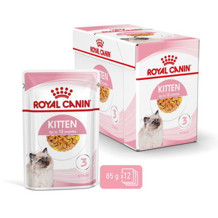 Royal Canin FHN Kačiukams Instinctive želė - drėgnas ėdalas - 12x85g