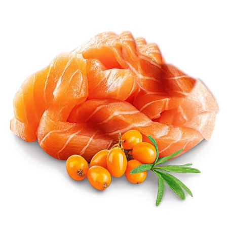 SHELMA Kačiukams su lašiša padaže - šlapias kačių maistas - 85g