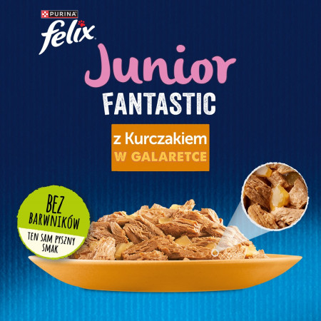 Felix Fanstastic Junior - drėgnas kačių maistas - 85 g