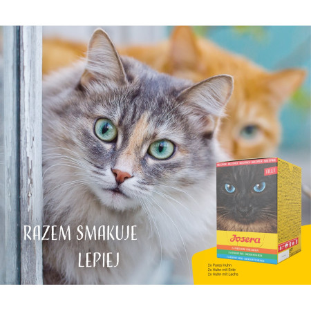 JOSERA Multipack - vištiena, antis, lašiša - 6x70 g