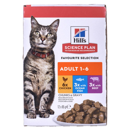 HILL'S Feline suaugusiųjų multipakė klasikinis - saszetė 12x85g