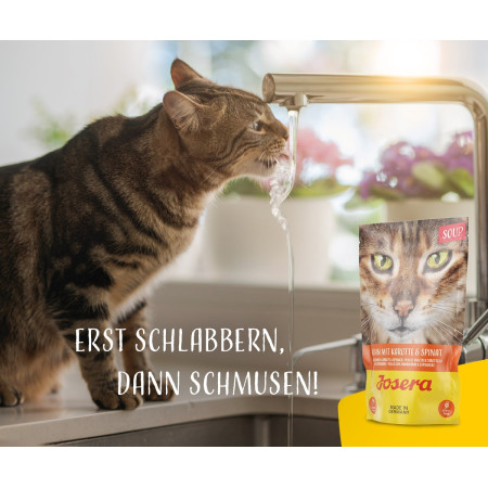 JOSERA vištienos sriuba su morkomis ir špinatais - drėgnas kačių maistas - 70 g