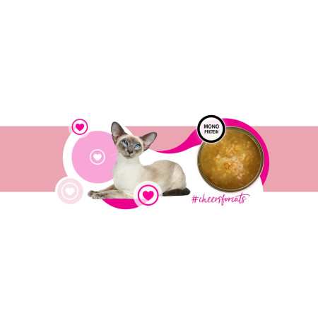 3COTY Cheers! 62. Kalakutiena - šlapias kačių maistas - 160g