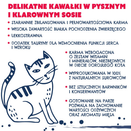 TEO Riche su jautiena - šlapias kačių maistas - 850g