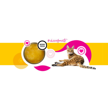 3COTY Cheers! 61. Vištiena - šlapias kačių maistas - 160g