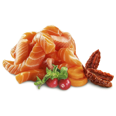 SHELMA Lašiša ir upėtakis paštetas - 100g