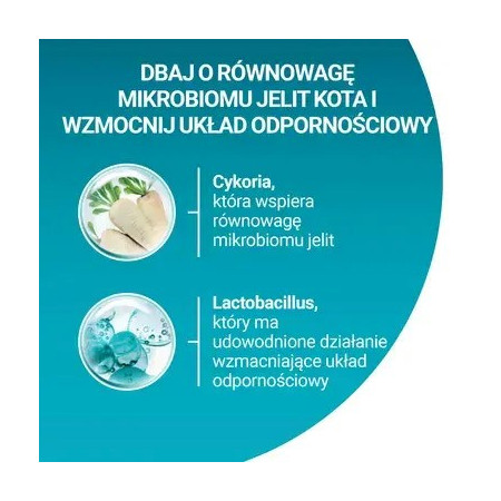 PURINA One Sterilcat Su Jautiena - sausas kačių maistas - 9,75 kg