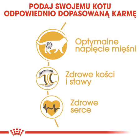 ROYAL CANIN Britų Škotų Katėms - sausas maistas - 2 kg