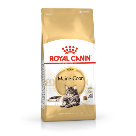 Royal Canin FBN Maine Coon Adult sausas ėdalas suaugusioms katėms, 4 kg