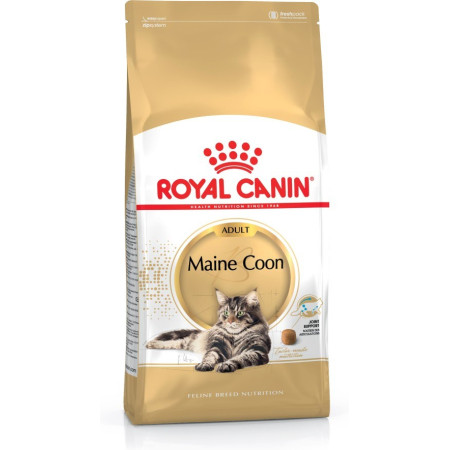 Royal Canin FBN Maine Coon Adult sausas ėdalas suaugusioms katėms, 4 kg