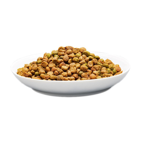 PREVITAL Junior Vištiena - sausas kačių maistas - 950 g