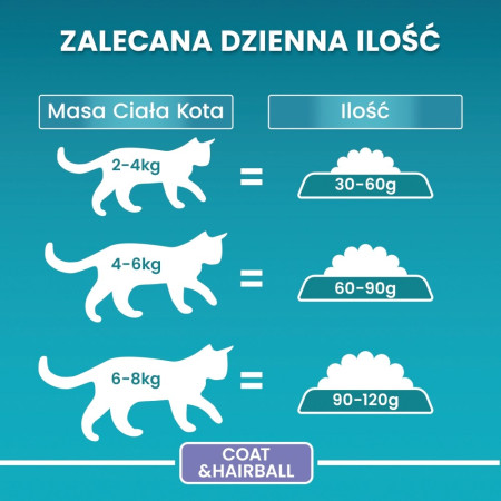 PURINA One Bifensis Coat & Hairball Chicken - sausas kačių maistas - 800 g