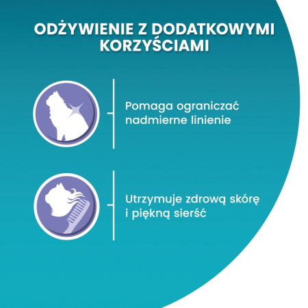 PURINA One Bifensis Coat & Hairball Chicken - sausas kačių maistas - 800 g