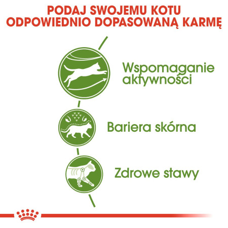 Royal Canin Active Life Outdoor - sausas kačių maistas - 4 kg