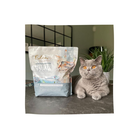 EDEN Balta Žuvis su Silkių Ikrais - sausas kačių maistas - 1,5 kg