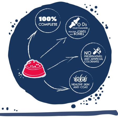 TEO Rich in beef - sausas maistas šunims - 9 kg