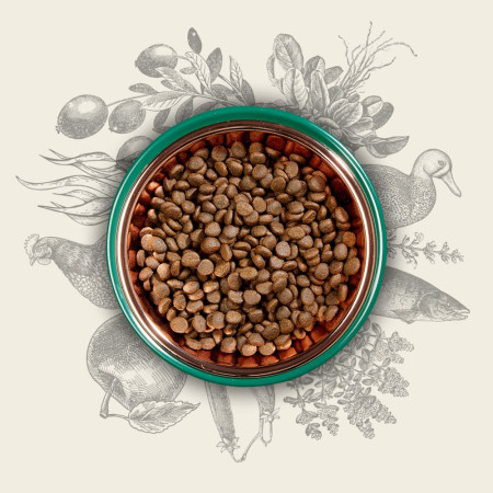 EDEN Original Cousine - sausas kačių maistas - 10 kg