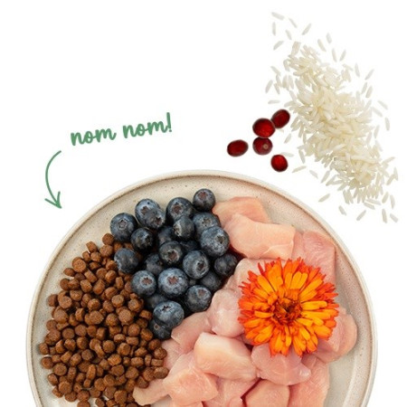 BOSCH Sanabelle Sensitive Su Vištiena - sausas kačių maistas - 2kg