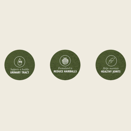 EDEN Su Antimi ir Sardinėmis - sausas kačių maistas - 1,5 kg