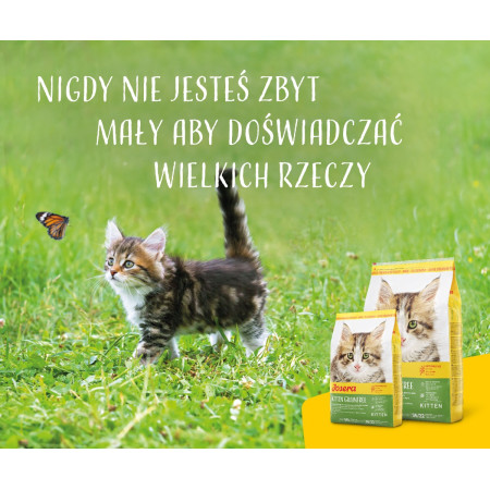 JOSERA Kačiukams Paukštiena - sausas kačių maistas - 400g
