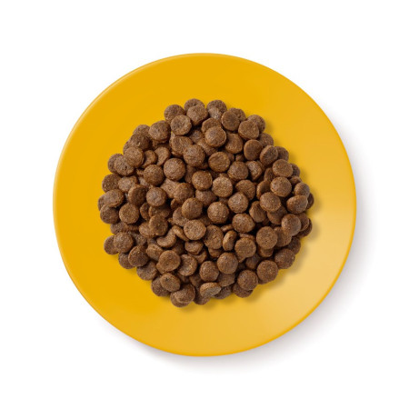 APPLAWS Senior Vištiena - sausas kačių maistas - 2kg